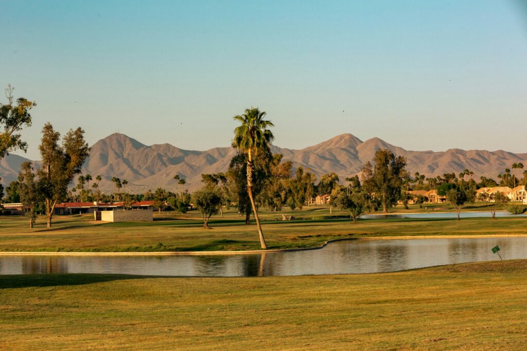 Scottsdale, AZ -- Landscape